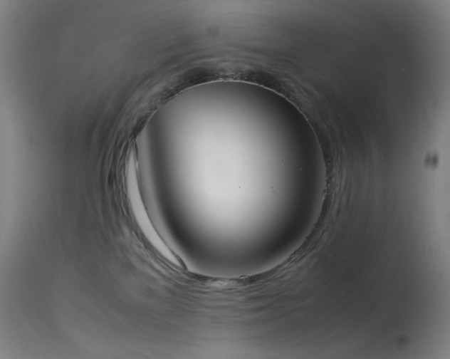 X0000114170137200910081531