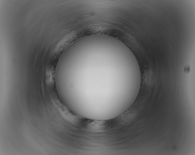X0000114170138200910081531