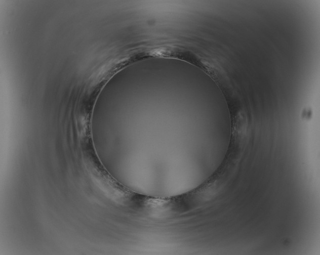 X0000114170139200910081531