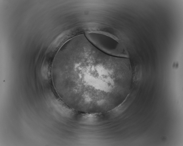 X0000114170140200910081531