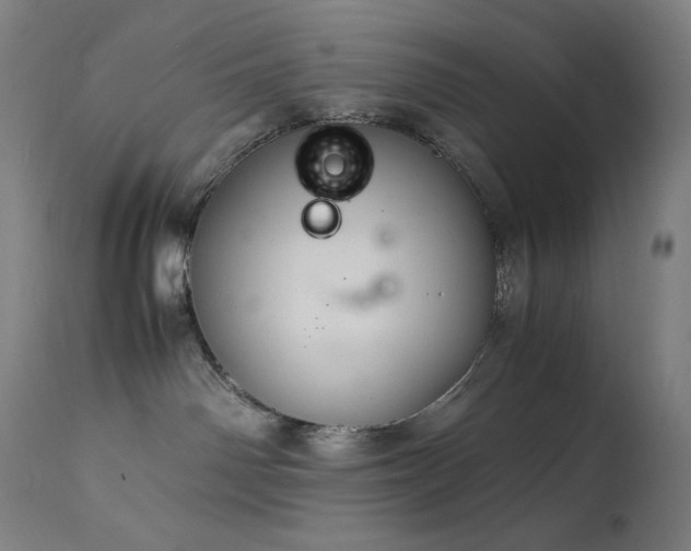 X0000114170142200910081531