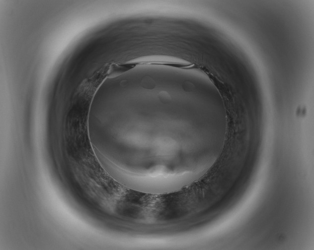 X0000114170143200910081531