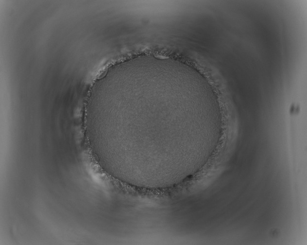 X0000114170144200910081531