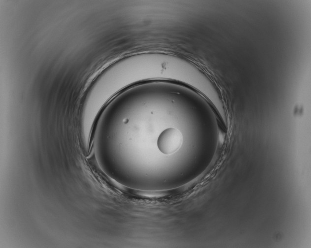 X0000114170146200910081530