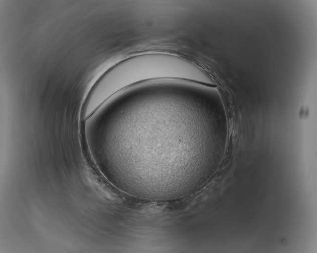 X0000114170148200910081530