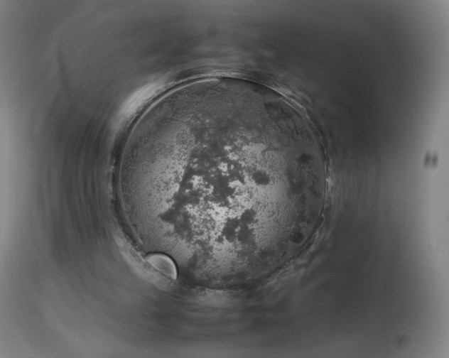 X0000114170149200910081530
