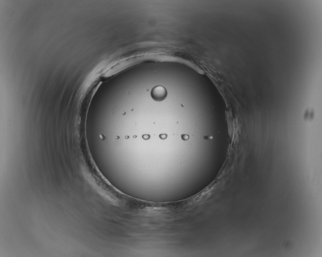 X0000114170150200910081530