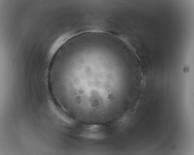 X0000114170151200910081530