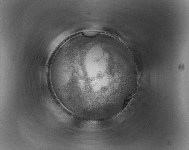 X0000114170152200910081530