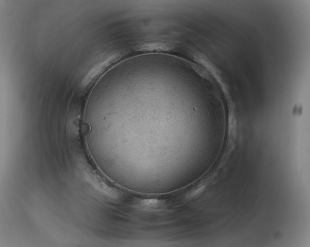 X0000114170153200910081531