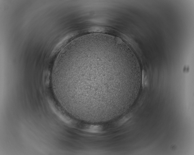 X0000114170157200910081531