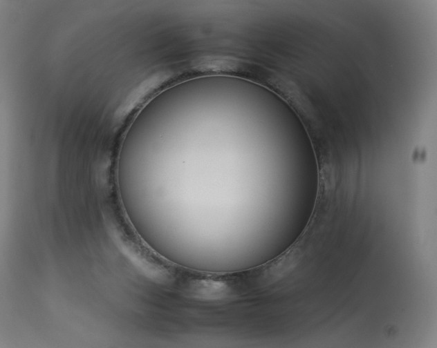 X0000114170159200910081531