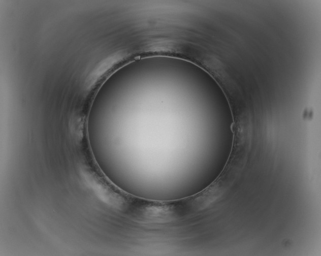X0000114170160200910081531
