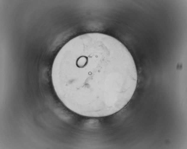 X0000114170162200910081531