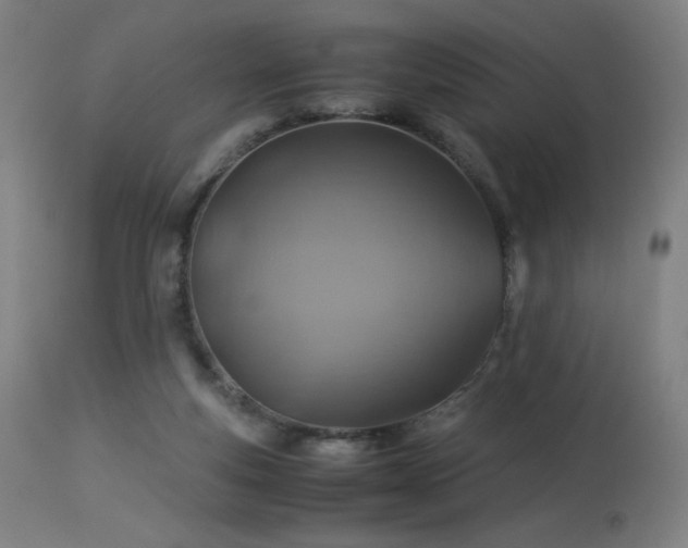 X0000114170163200910081531