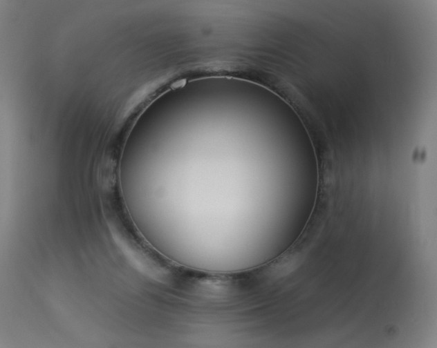 X0000114170164200910081531