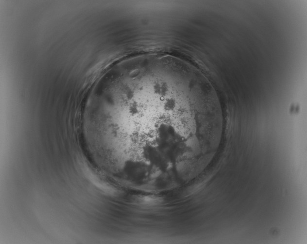 X0000114170165200910081531