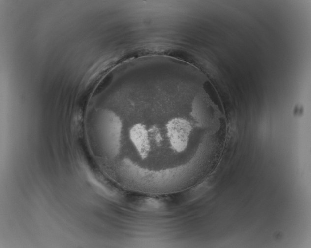 X0000114170166200910081531