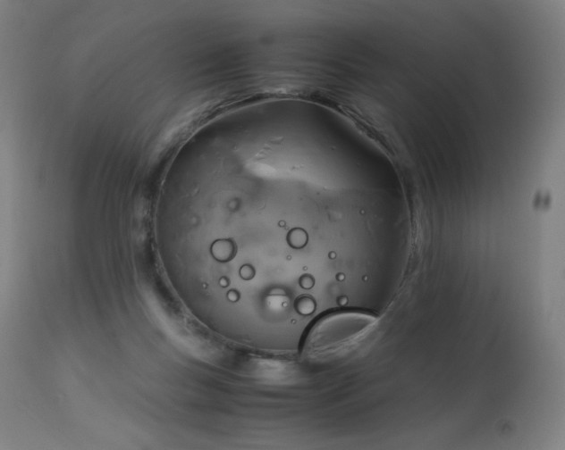 X0000114170167200910081531