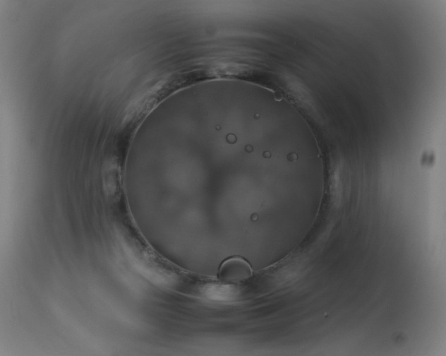 X0000114170169200910081531