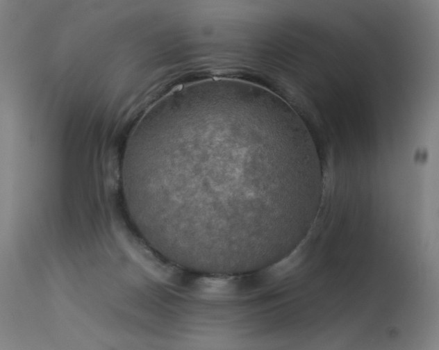 X0000114170170200910081531