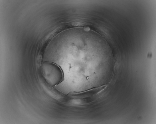X0000114170171200910081531