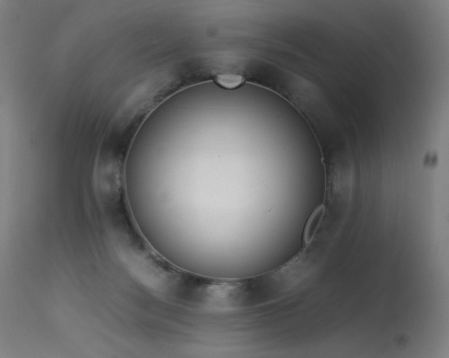 X0000114170172200910081531