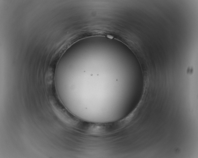 X0000114170174200910081531