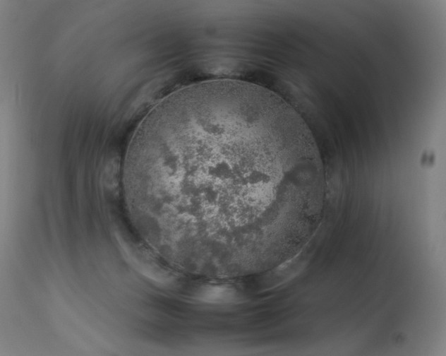 X0000114170175200910081531
