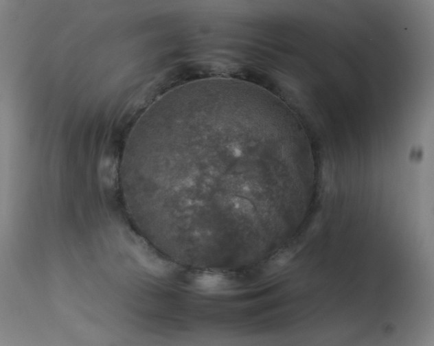 X0000114170177200910081531