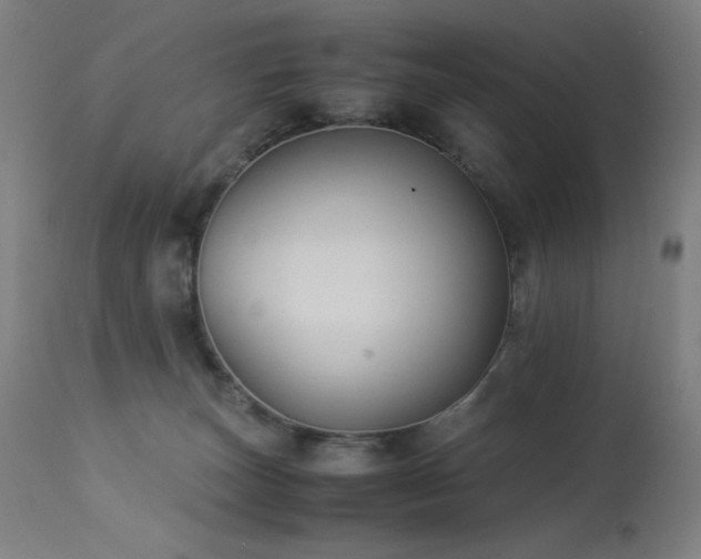 X0000114170179200910081531