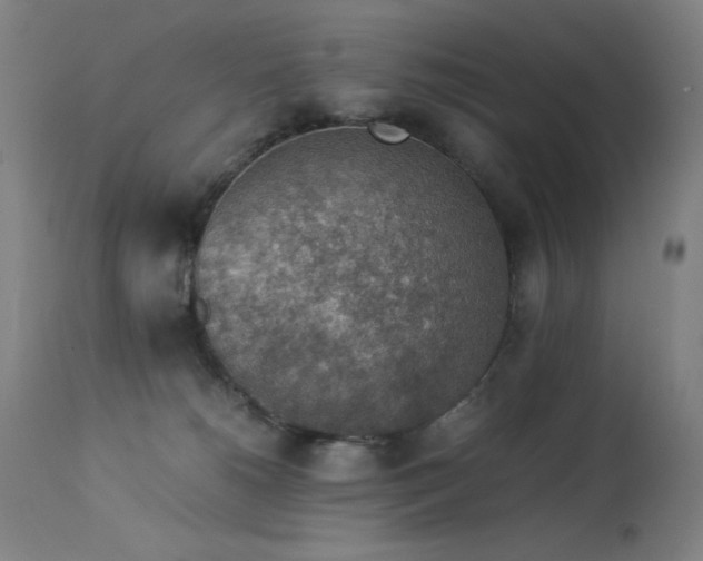 X0000114170180200910081531