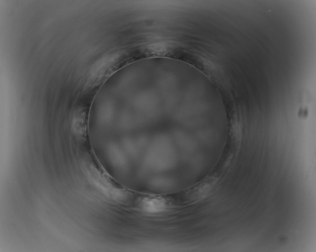 X0000114170181200910081531