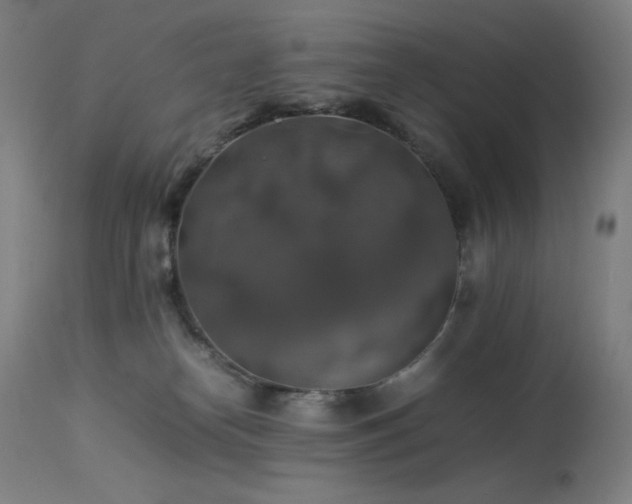 X0000114170182200910081531