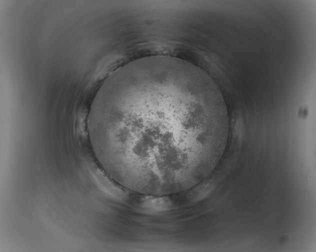 X0000114170185200910081531