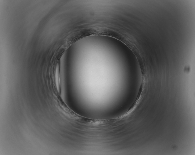X0000114170186200910081531