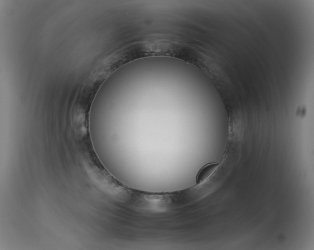 X0000114170187200910081531