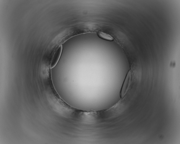 X0000114170188200910081531