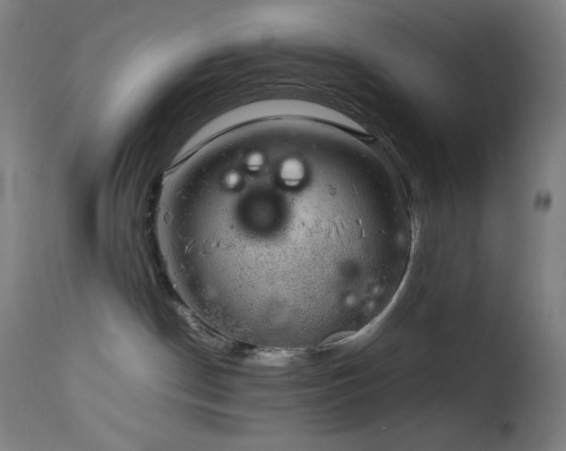 X0000114170190200910081531