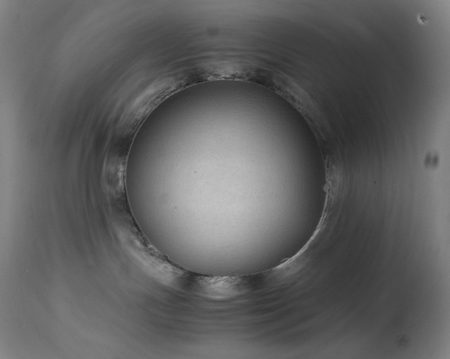 X0000114170191200910081531