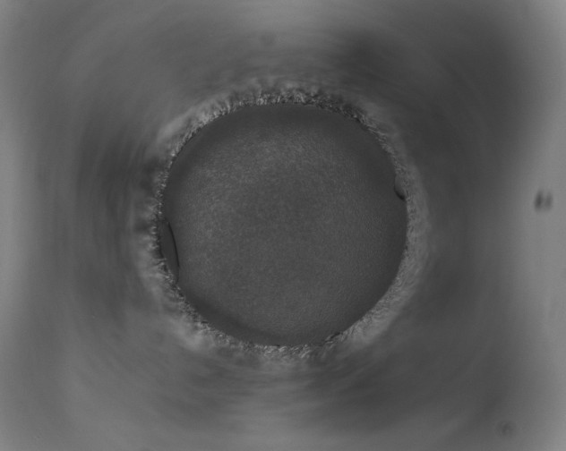 X0000114170192200910081531