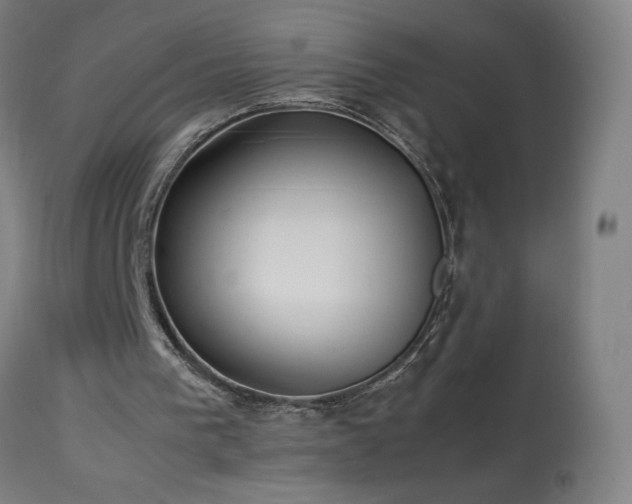 X0000114170193200910081530