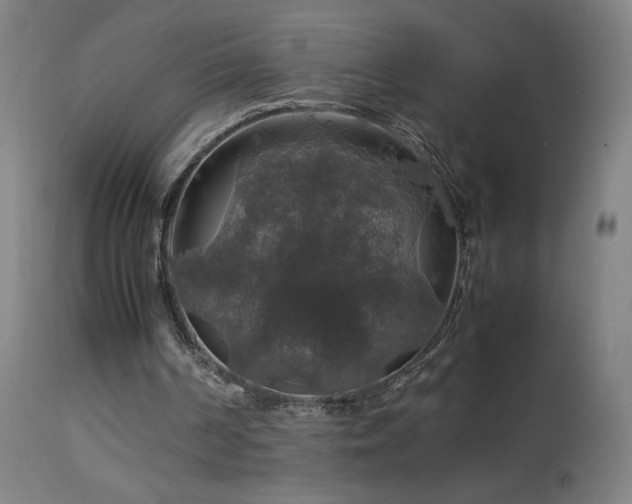 X0000114170194200910081530