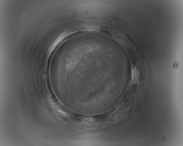 X0000114170195200910081530