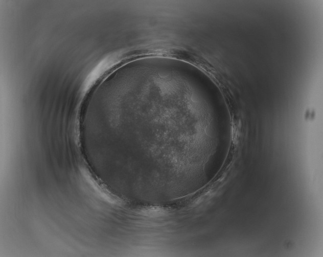 X0000114170198200910081530