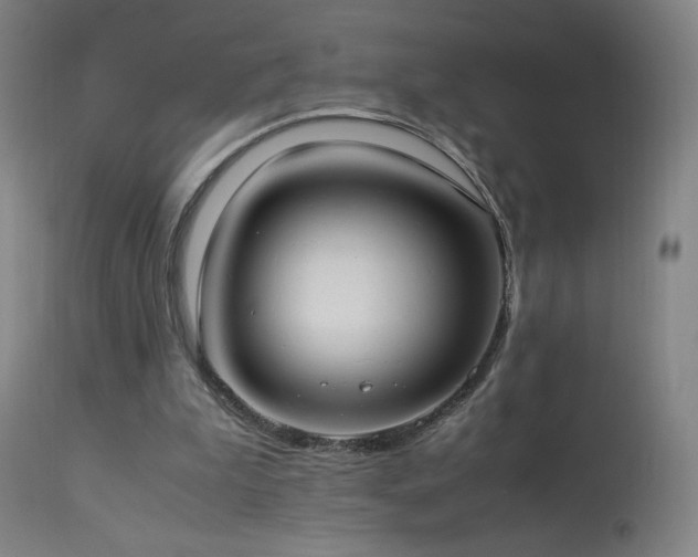 X0000114170199200910081530