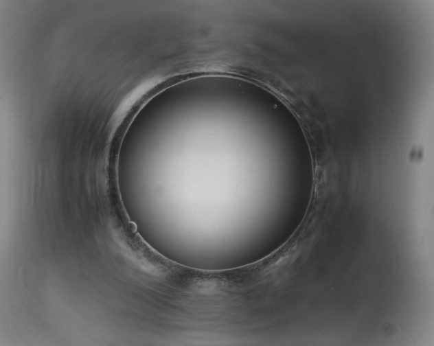 X0000114170200200910081530
