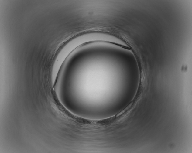 X0000114170201200910081530