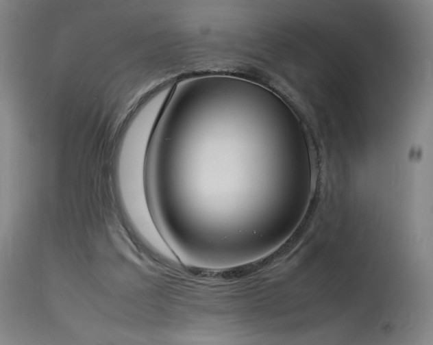 X0000114170203200910081530