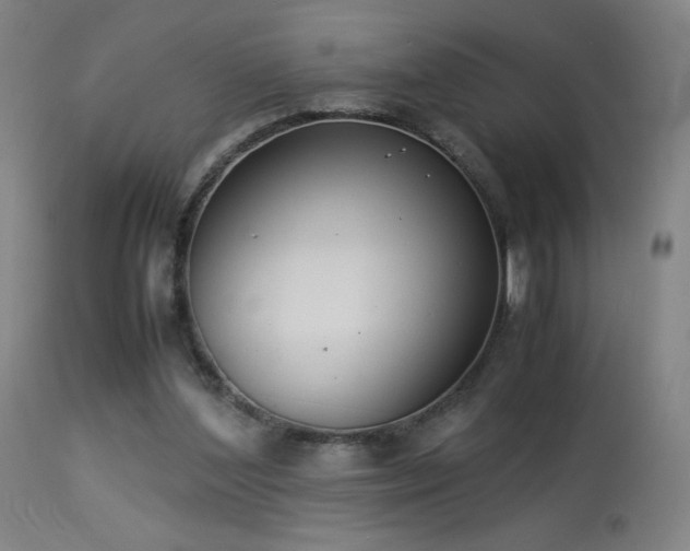 X0000114170204200910081530